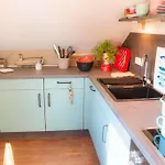 Bunte-kuh-borkum *