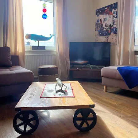 Bunte-kuh-borkum *